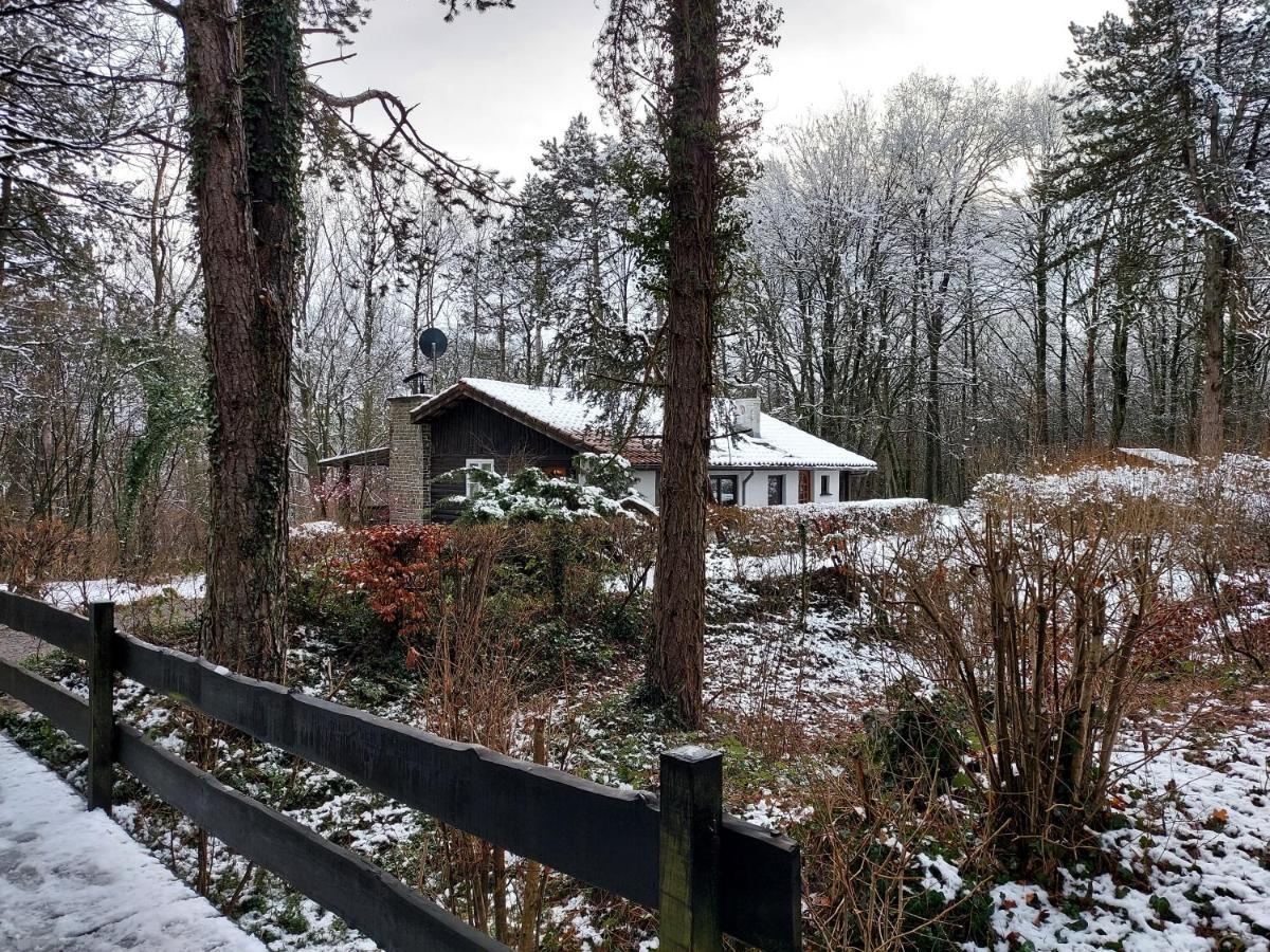 Chalet Des Pins D'Autriche Comblain-Fairon Buitenkant foto