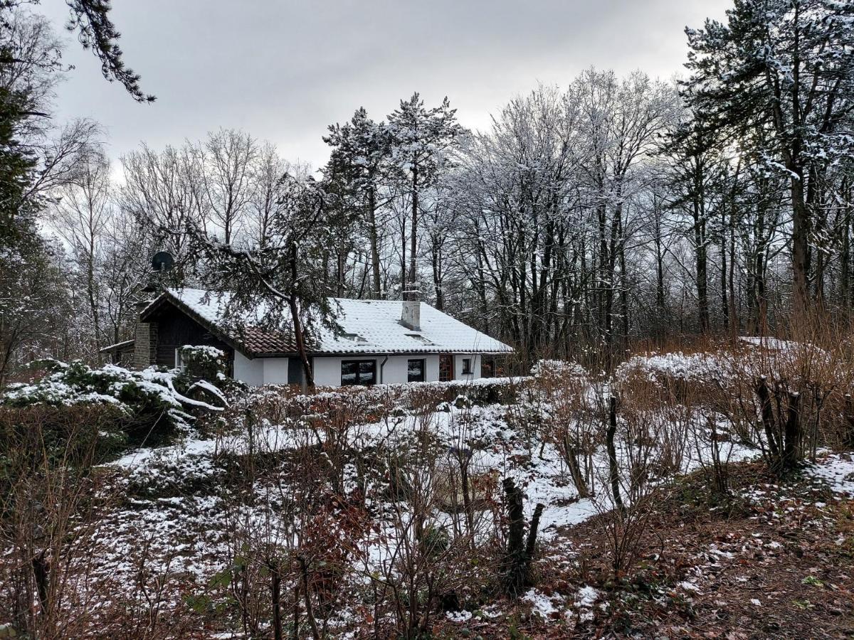 Chalet Des Pins D'Autriche Comblain-Fairon Buitenkant foto