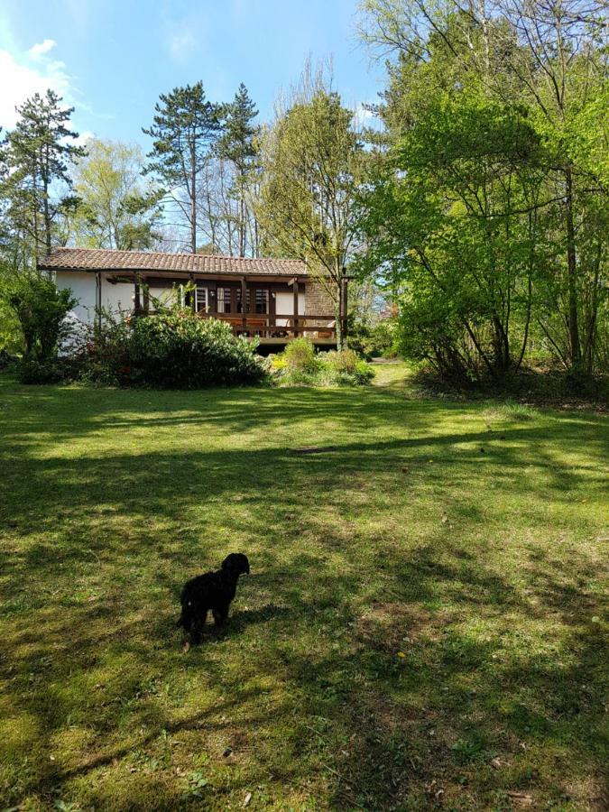 Chalet Des Pins D'Autriche Comblain-Fairon Buitenkant foto