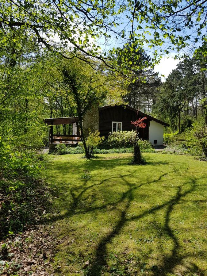 Chalet Des Pins D'Autriche Comblain-Fairon Buitenkant foto
