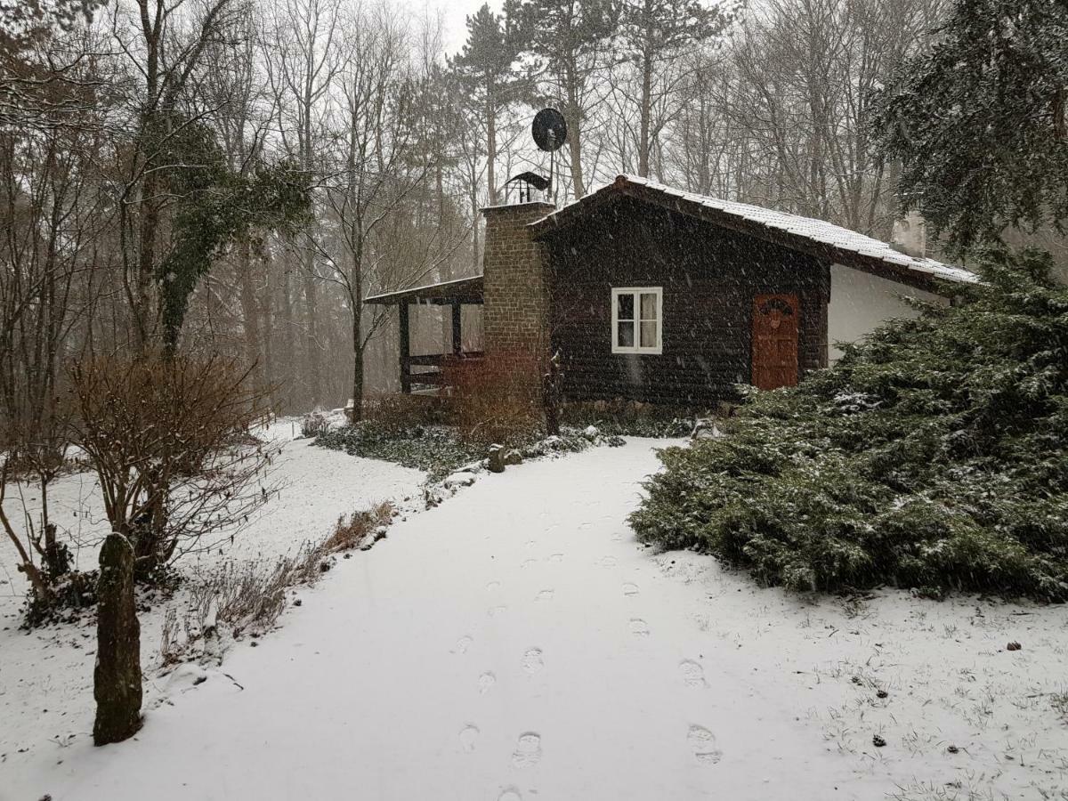 Chalet Des Pins D'Autriche Comblain-Fairon Buitenkant foto